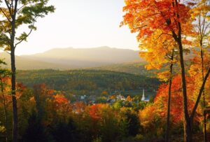 stonington-mystic-november-foliage-color-change-fall-season